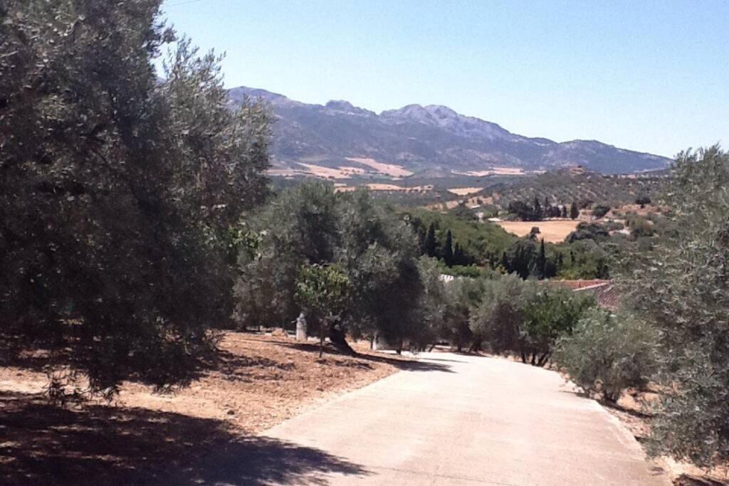فيلا Finca Los Abetos Villanueva del Rosario المظهر الخارجي الصورة
