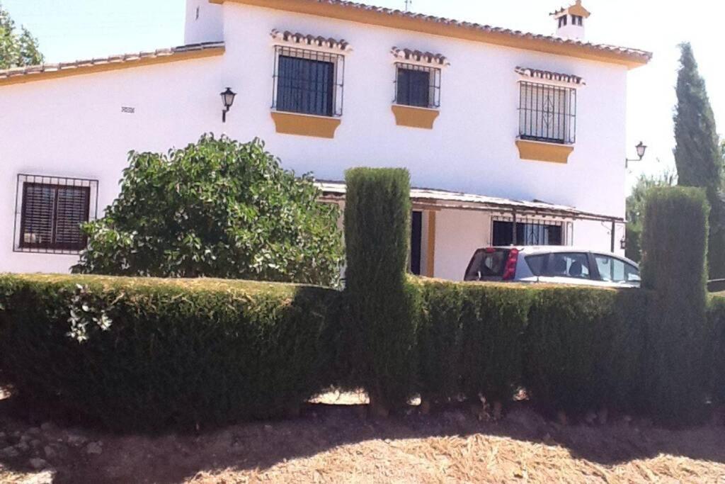 فيلا Finca Los Abetos Villanueva del Rosario المظهر الخارجي الصورة